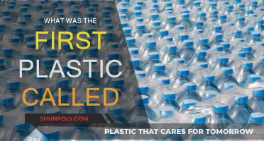 The First Plastic: A Revolutionary Invention