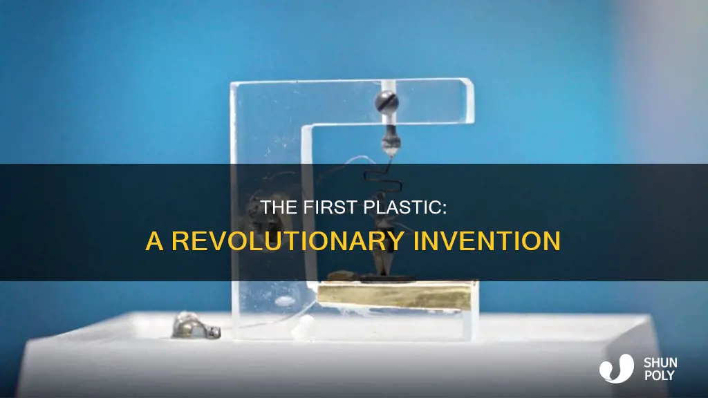 what was the first plastic called