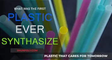 The First Synthetic Plastic: A Historical Perspective