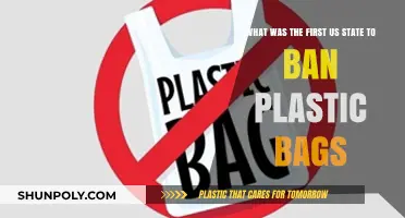 Pioneering Sustainability: The First US State to Ban Plastic Bags
