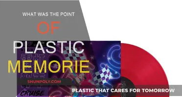 Plastic Memories: Cherishing Fleeting Moments of Joy