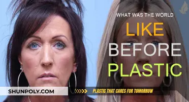 Life Before Plastic: A Simpler, Greener Past