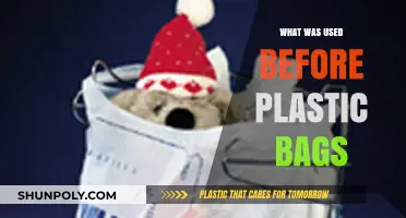 Before Plastic: Exploring the Eco-Friendly Alternatives of the Past
