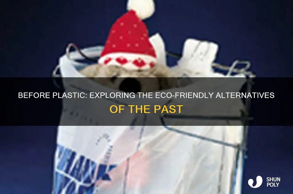 what was used before plastic bags