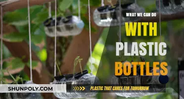 Creative Ways to Upcycle Plastic Bottles for a Greener Future
