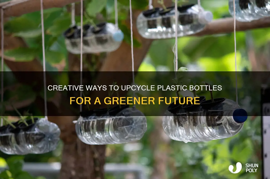 what we can do with plastic bottles