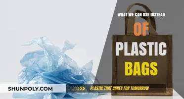 Eco-Friendly Alternatives: Sustainable Options to Replace Plastic Bags