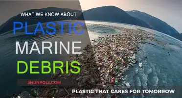 Plastic Marine Debris: What We Know So Far