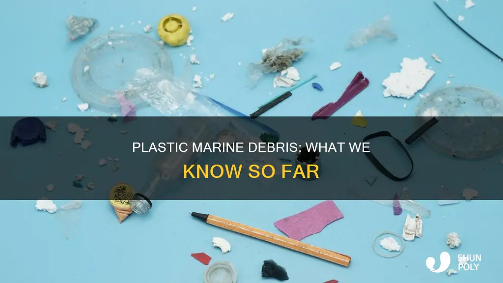 what we know about plastic marine debris