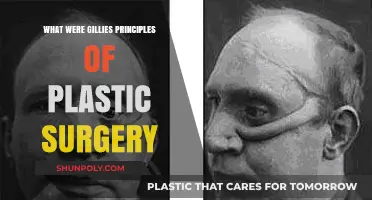 Understanding Gillies' Principles of Plastic Surgery: A Historical Overview