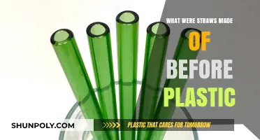 From Nature to Plastic: The Surprising History of Straws