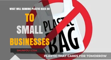 Plastic Bag Bans: Impact on Small Businesses and Survival Strategies