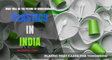 Sustainable Solutions: The Future of Biodegradable Plastics in India