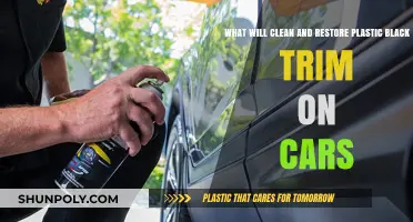 Revive Car Black Trim: Best Cleaners & Restorers for Plastic Shine