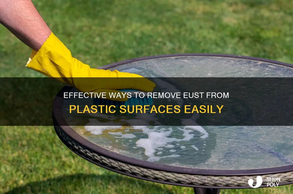 what will clean eust off plastic