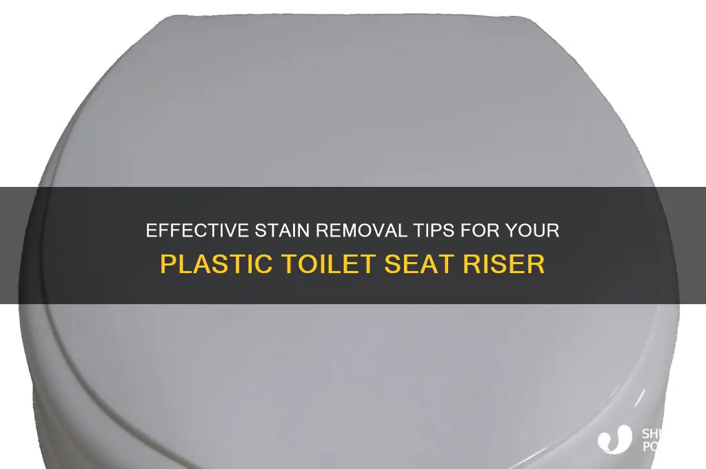 what will clean stains from a plastic toilet seat riser