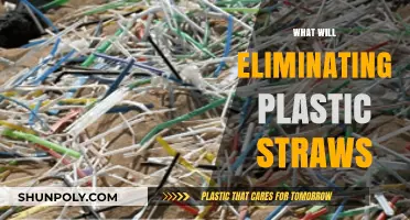 Sipping Towards Sustainability: The Impact of Eliminating Plastic Straws