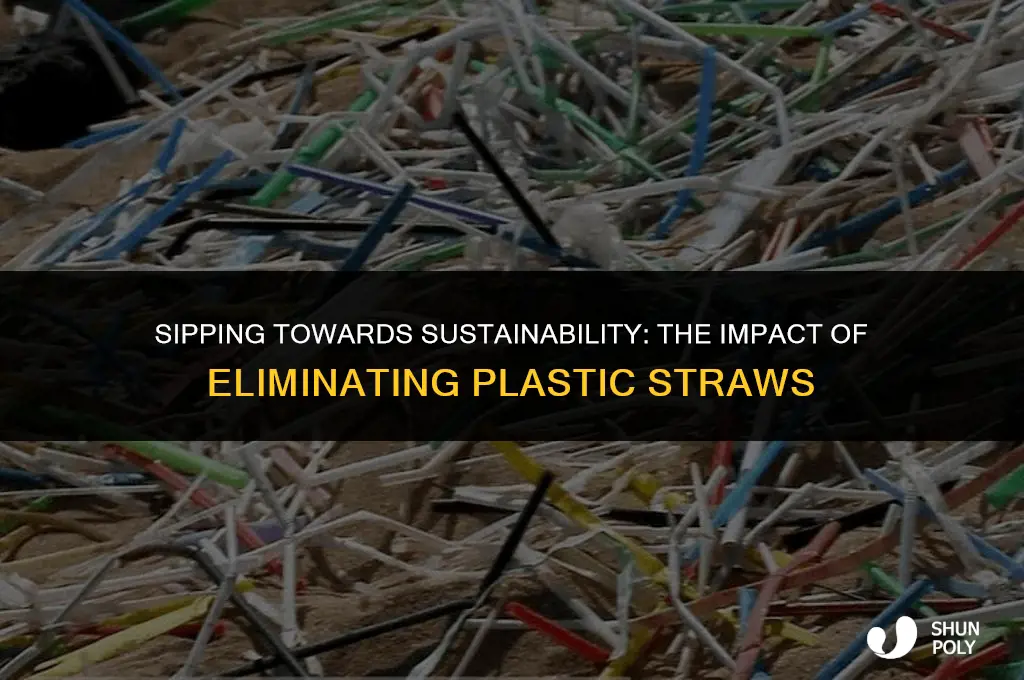 what will eliminating plastic straws