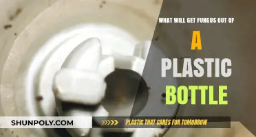 Effective Ways to Remove Fungus from Plastic Bottles Safely