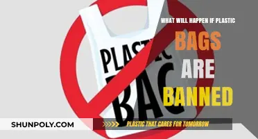 Banning Plastic Bags: Environmental Impact, Economic Shifts, and Sustainable Alternatives