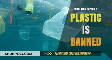 A World Without Plastic: Exploring the Impact of a Ban