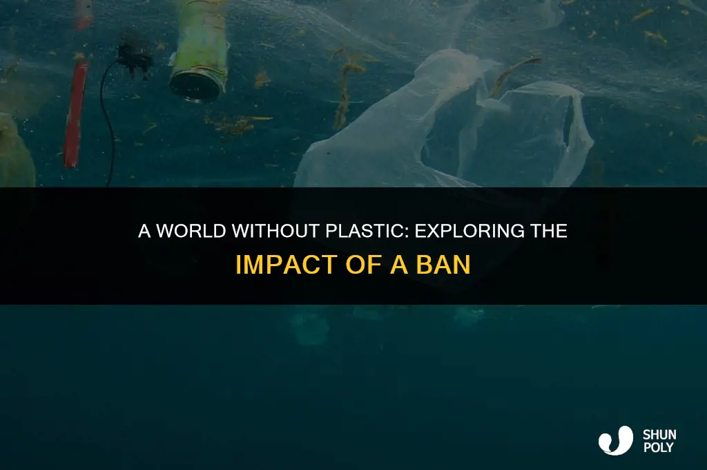 what will happen if plastic is banned