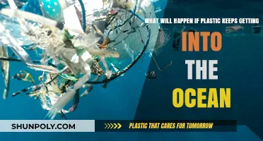 The Looming Crisis: Plastic Pollution's Threat to Our Oceans