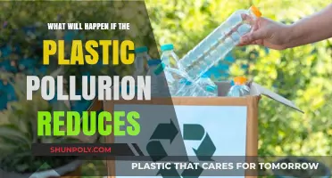 A Cleaner Future: The Positive Impact of Reducing Plastic Pollution