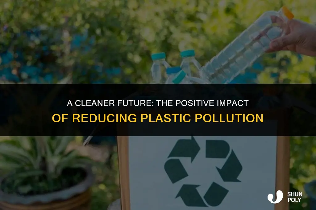 what will happen if the plastic pollurion reduces
