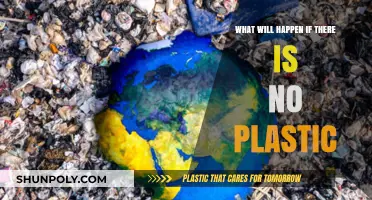 A World Without Plastic: Unveiling the Surprising Consequences