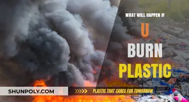 The Hidden Dangers: What Happens When You Burn Plastic?
