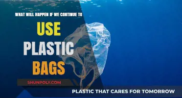 Plastic Bag Overuse: A Looming Environmental Catastrophe and Its Consequences