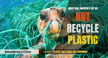 The World Without Recycling: Plastic's Dark Future