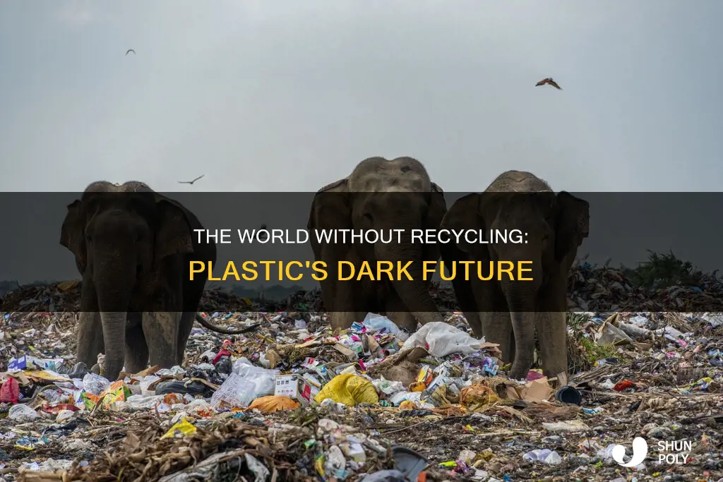 what will happen if we do not recycle plastic