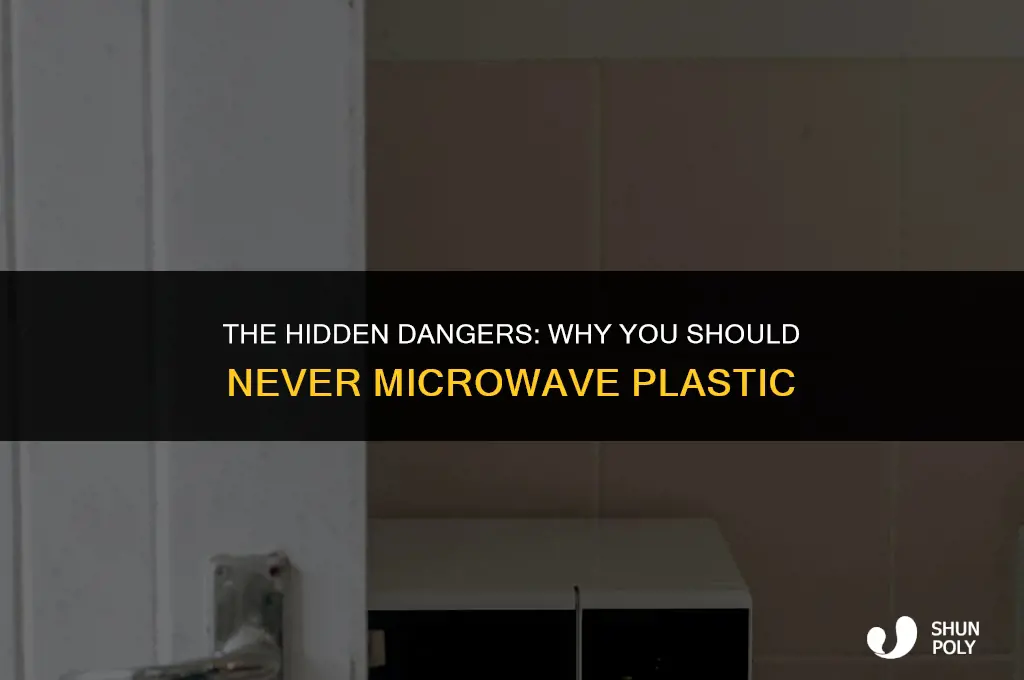 what will happen if you put plastic in the microwave