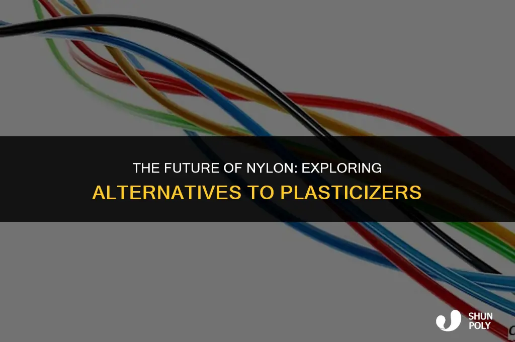 what will happen to nylon with no plasticizer
