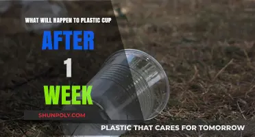 The Fate of a Plastic Cup: A Week's Journey in the Environment