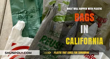 California's Plastic Bag Ban: Future Impacts and Environmental Changes