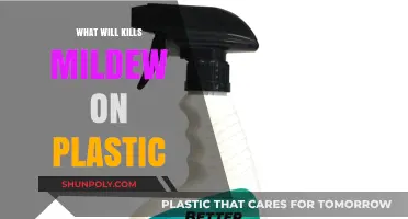 Effective Ways to Eliminate Mildew from Plastic Surfaces