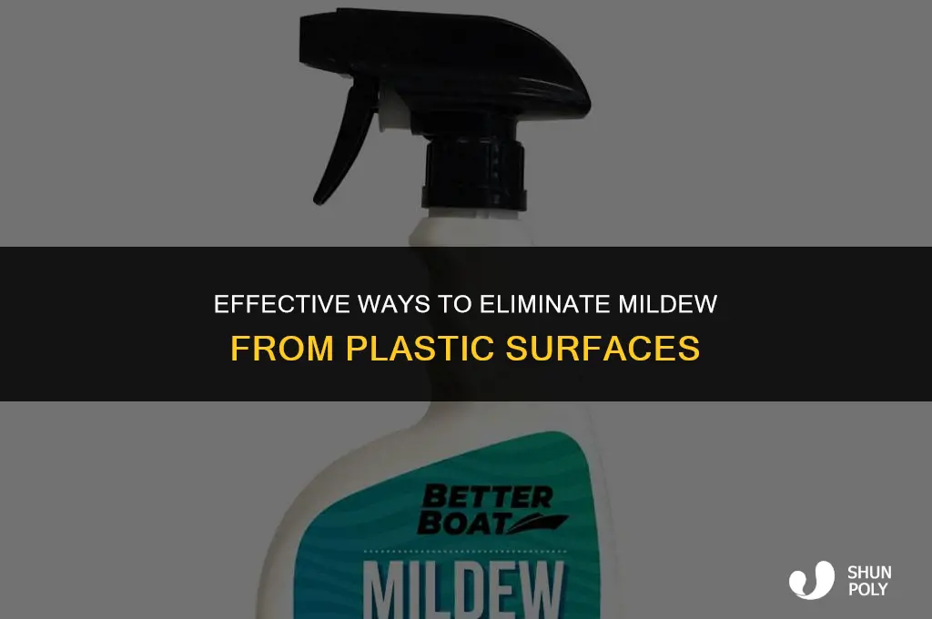 what will kills mildew on plastic