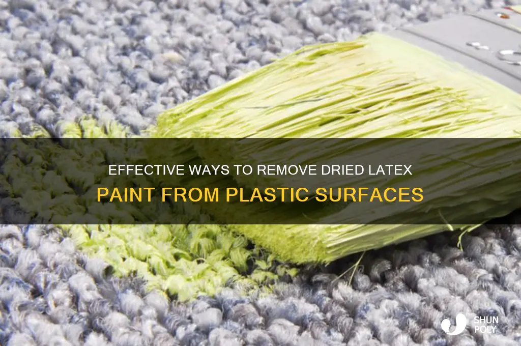 what will remove dried latex paint from plastic