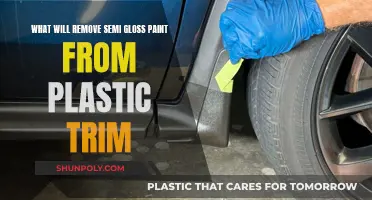 How to Remove Semi-Gloss Paint from Plastic Trim