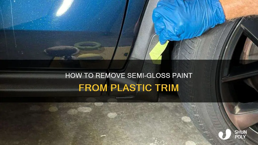 what will remove semi gloss paint from plastic trim