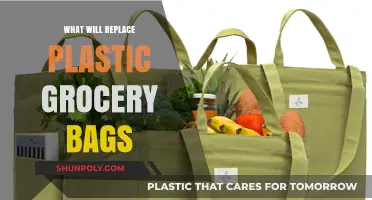 Sustainable Alternatives: What Will Replace Plastic Grocery Bags in the Future?