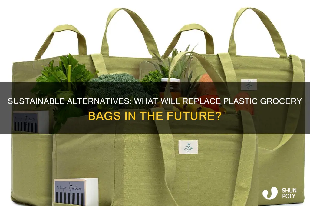 what will replace plastic grocery bags