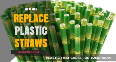 Sipping Sustainably: The Future Beyond Plastic Straws