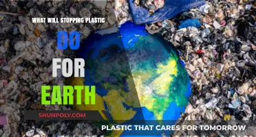Unveiling the Impact: How Ending Plastic Use Can Heal Our Planet