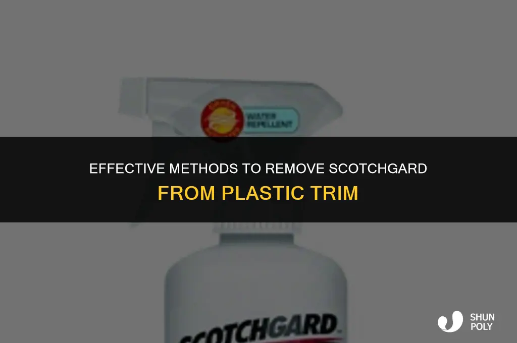 what will take off scotchguard of plastic trim