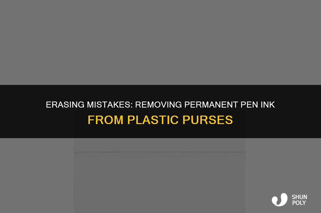 what will take permanent pen ink off a plastic purse