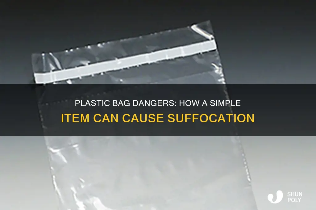what with a plastic bag can lead to suffocation
